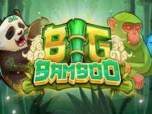Big Bamboo